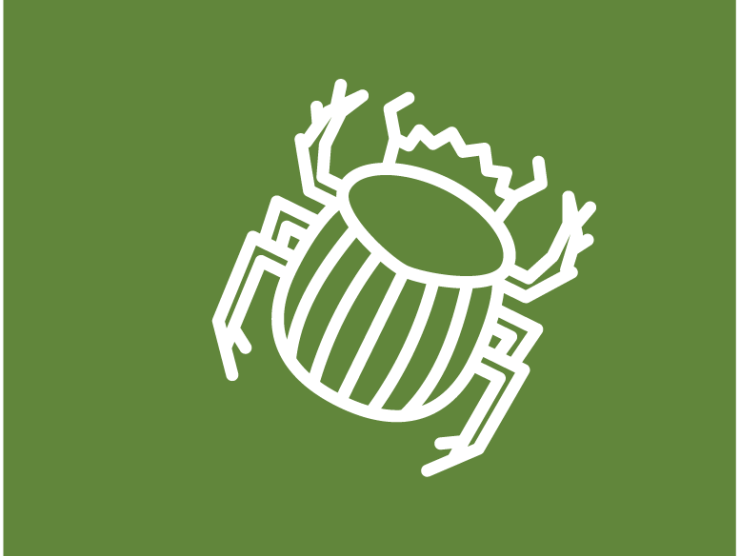 white line drawing of a beetle on a dark green field