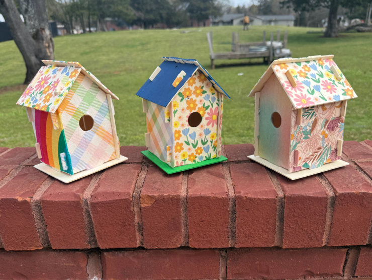 Decorated birdhouses