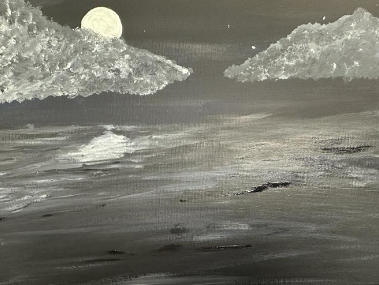 Night Sky on Canvas